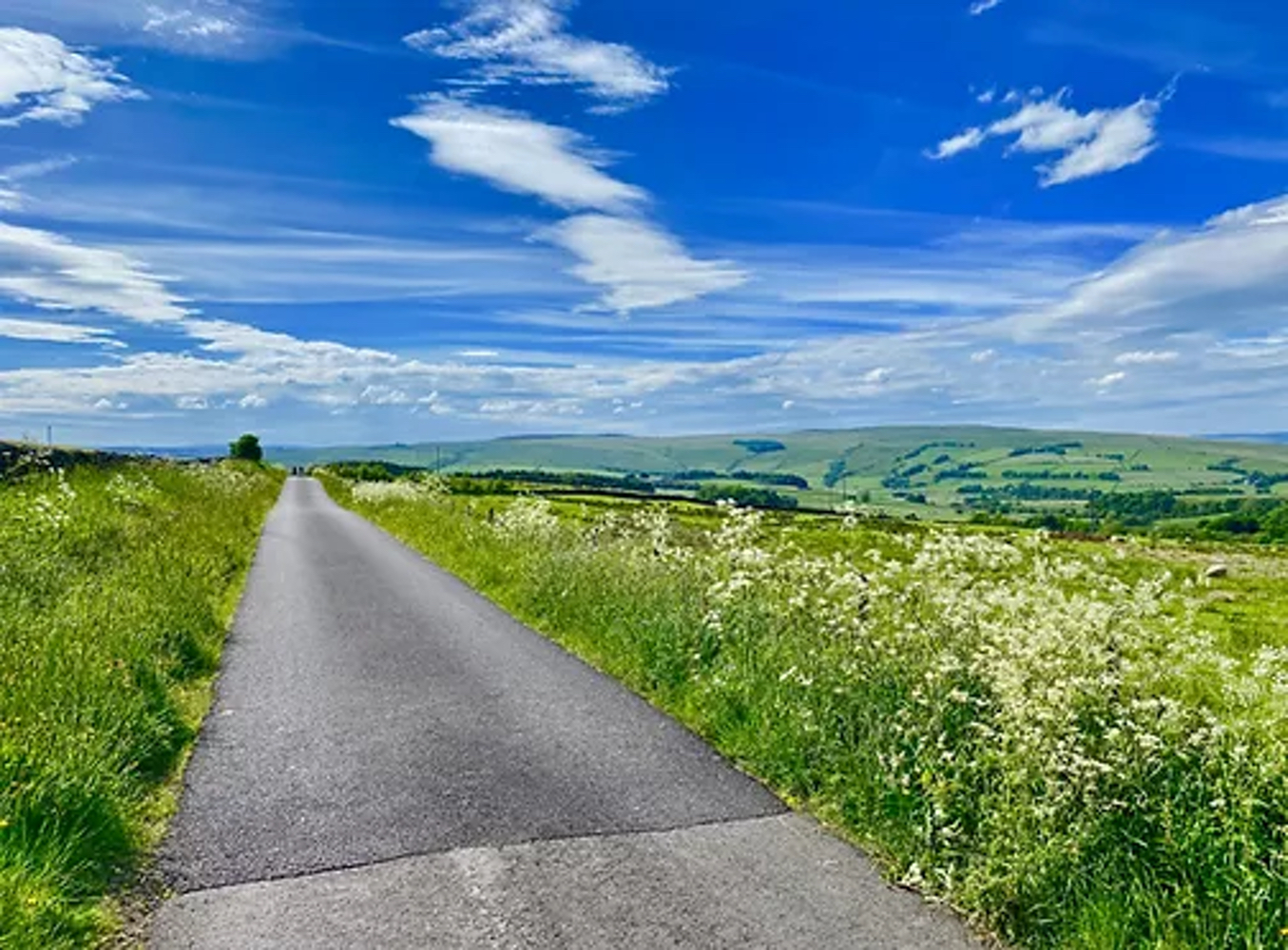 Northumberland Countryside